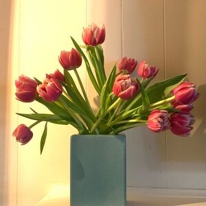 Meet your Posher, Barbara